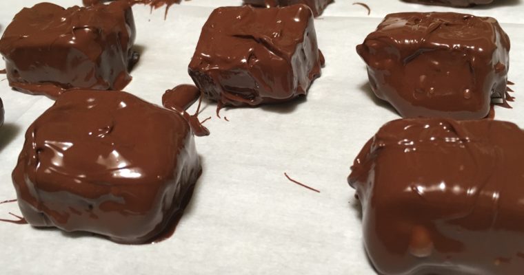 Treat Tuesday-Chocolate Peanut Butter Candy Bars