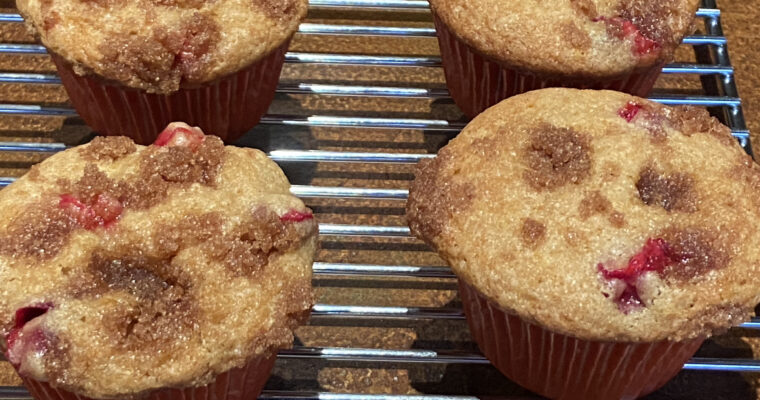 Treat Tuesday-Cranberry Streusel Muffins