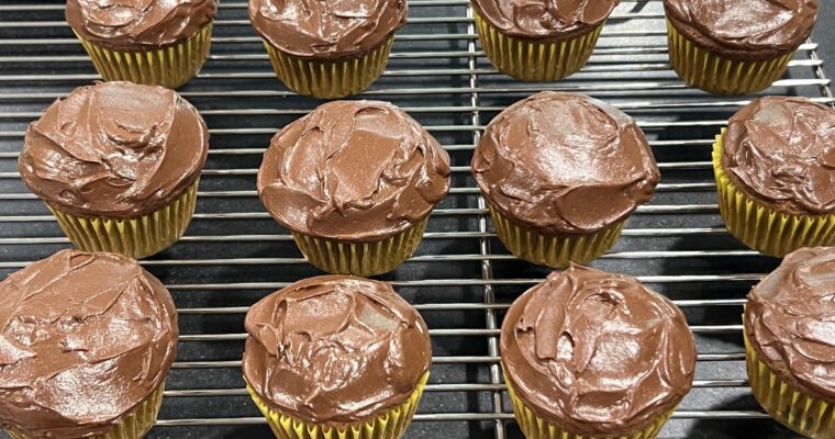 Treat Tuesday-Chocolate Peanut Butter Cupcakes