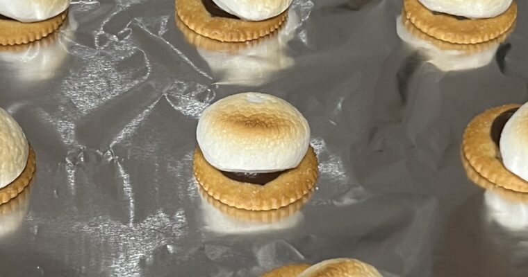 Treat Tuesday-Mini S’mores