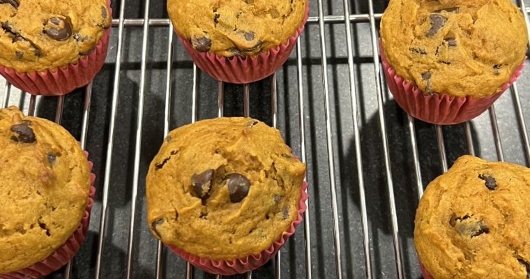 Treat Tuesday-Pumpkin Chocolate Chip Muffins