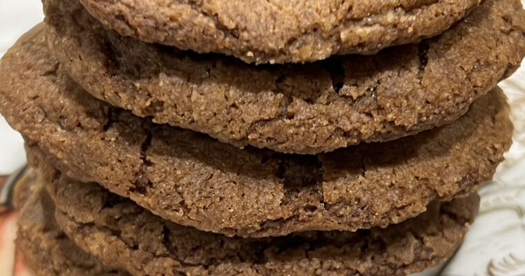 Treat Tuesday-Molasses Spice Cookies