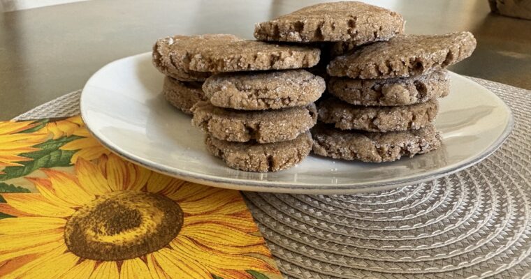 Treat Tuesday-Cinnamon Ginger Cookies